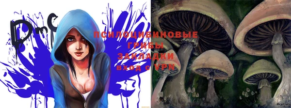 молекула духа Волосово